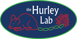 The Hurley Lab